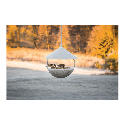 Around Futterhaus Granicum zum Hängen  #5