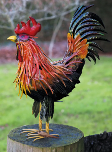 Hahn "Fridolin"
