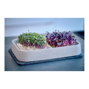 Mikrogarten XL Granicium mit Kräuterschere