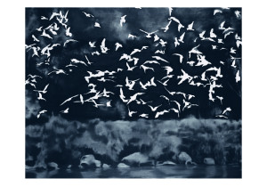 Gerhard Richter: Vögel, 1964