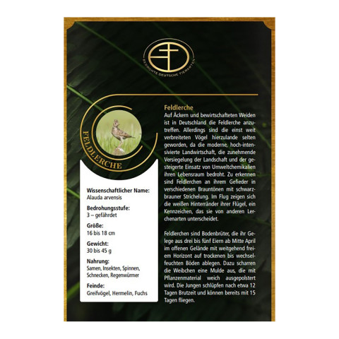 Goldbarren Bedrohte Tierarten Feldlerche #4