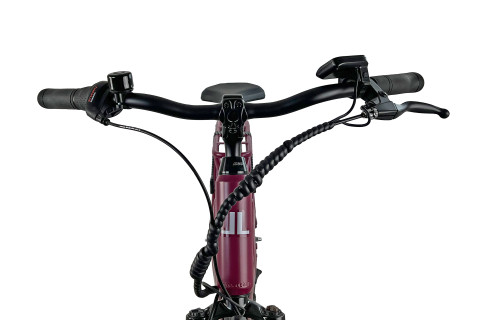 City E-Bike 28“ Millenium 7G bordeaux rot #2