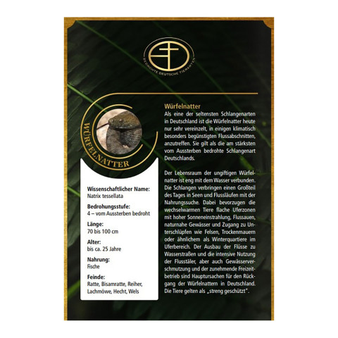 Goldbarren Bedrohte Tierarten Würfelnatter #4