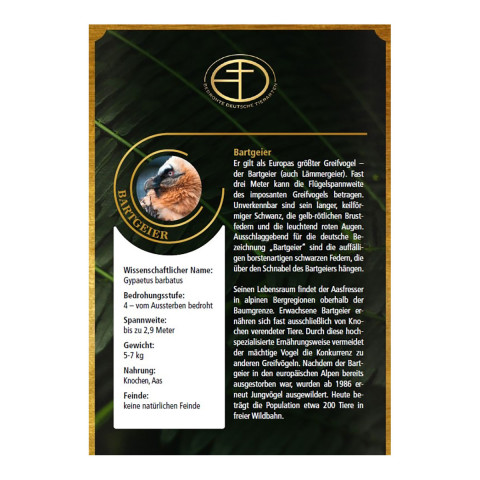  Goldbarren Bedrohte Tierarten Bartgeier #3