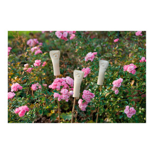 3er-Set Ohrwurmhaus, Insektenhaus und Schädlingsabwehr