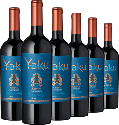 Carmenere Reserva Yaku #1