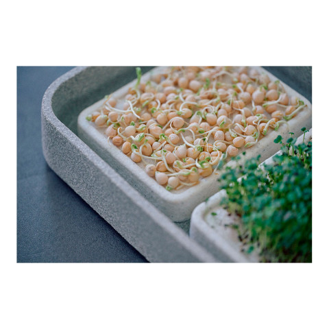 Mikrogarten XL Granicium mit Kräuterschere #2