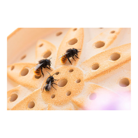 Wildbienenhaus Blume aus CeraNatur®-Keramik - Artgerechte Nisthilfe für bedrohte Bestäuber #3