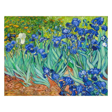 Vincent van Gogh: Iris (Schwertlilien), 1889 